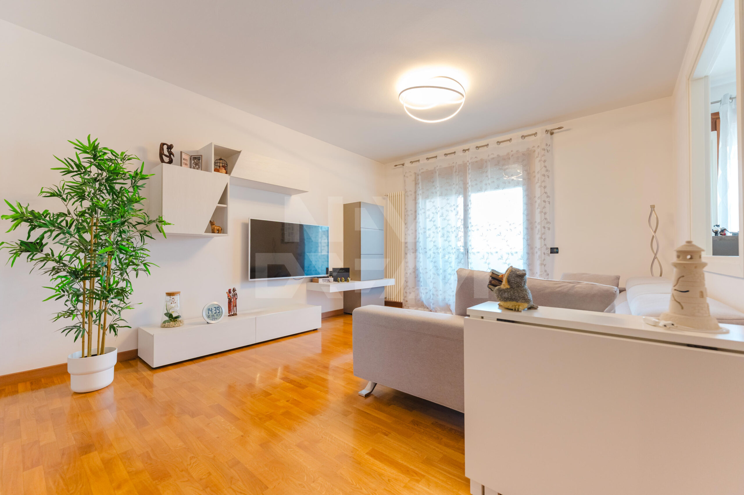 studio13Podda6